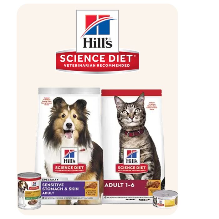 Hills Pet Bed (L75cm x W75cm x H13cm)