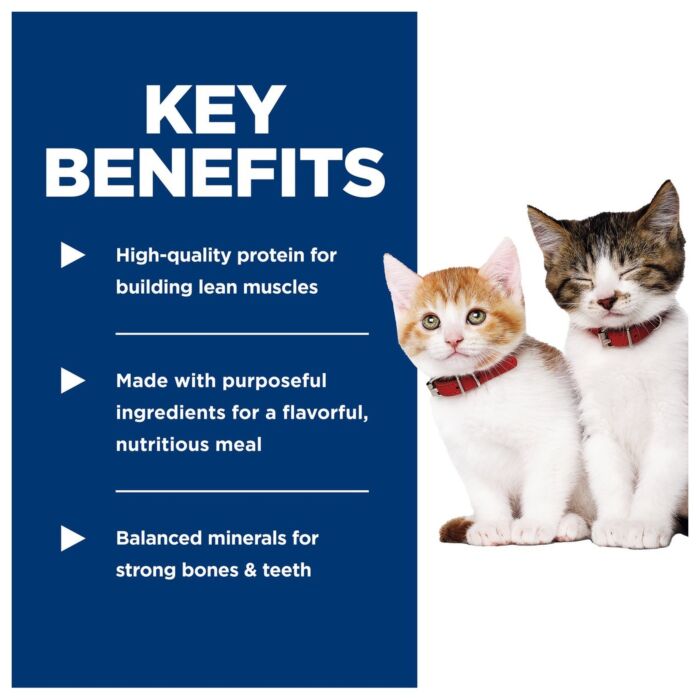 Hills Cat Can - Kitten - Science Diet - Salmon 2.9oz