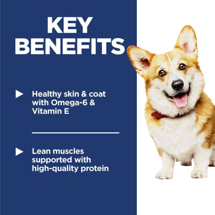 Hills Science Diet Dog Food - Small Bites Adult