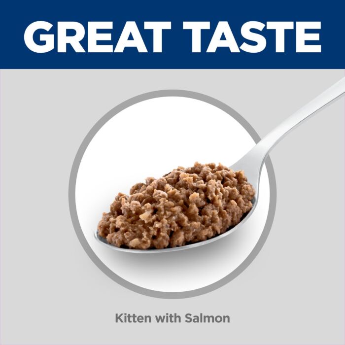 Hills Cat Can - Kitten - Science Diet - Salmon 2.9oz