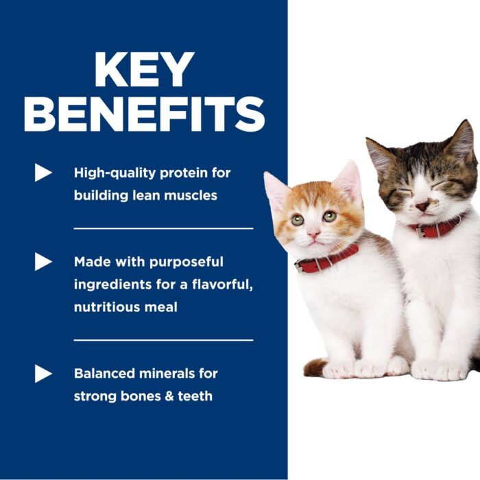 Hills Cat Can - Kitten - Science Diet - Salmon 2.9oz