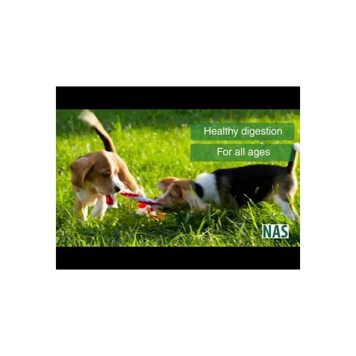 Natural Animal Solutions (NAS) DigestaVite Plus Supplement 100g