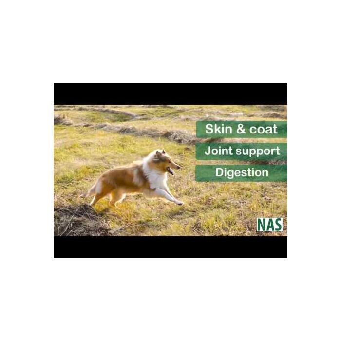 Natural Animal Solutions (NAS) Omega Oil 3, 6 & 9 Oil