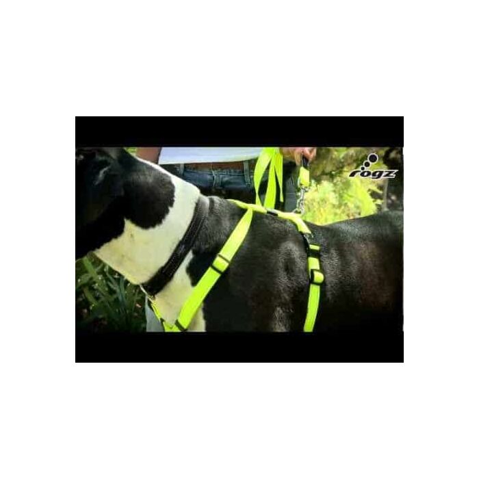How to Fit a ROGZ Harness