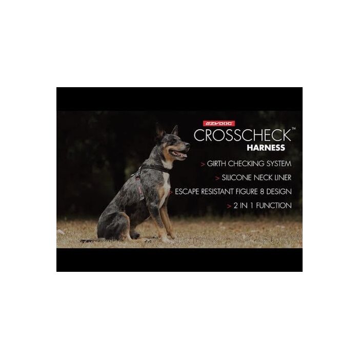 How to use a Dog Training Harness - EzyDog Crosscheck Harness