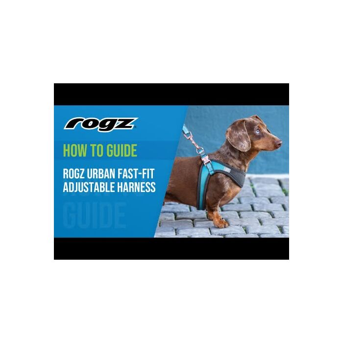 How to Guide - Rogz Urban Fast Fit Adjustable Harness