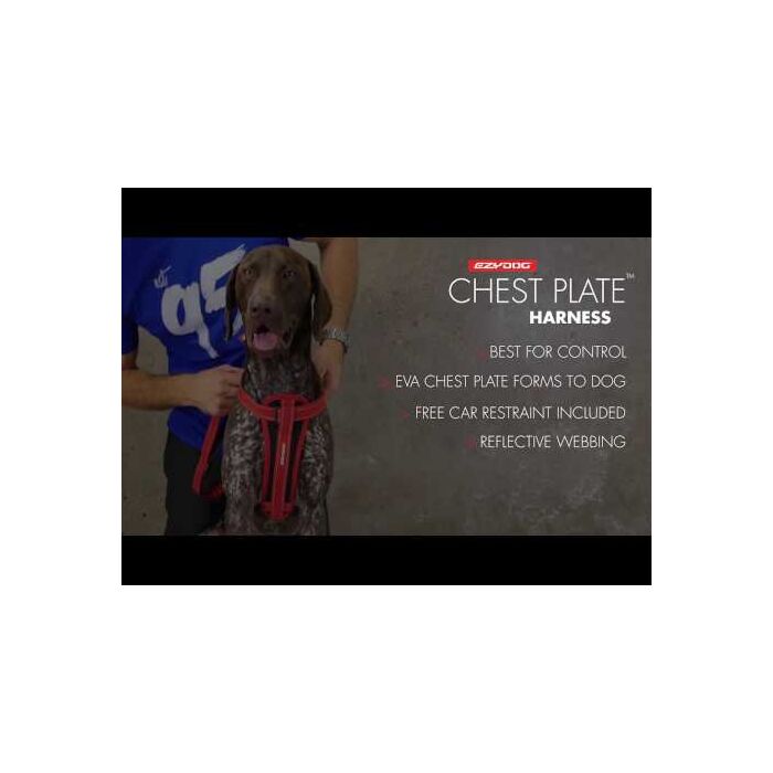 How to Fit a Dog Harness - EzyDog Chest Plate Harness