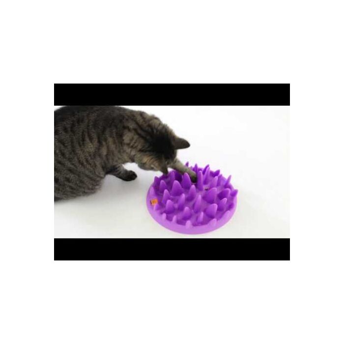 Catch Interactive Feeder