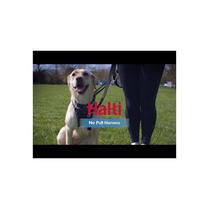 Halti No Pull Harness  - How to fit and use