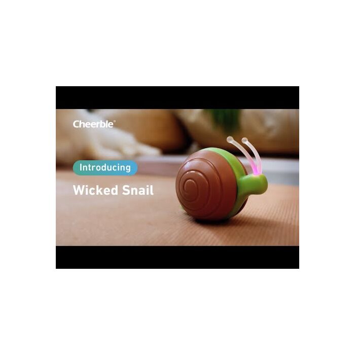 Cheerble Wicked Snail: Smart Cat Toy Interactive Running Snail