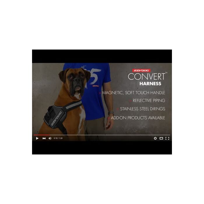How to Fit a Dog Harness - EzyDog Convert Dog Harness