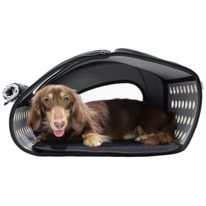 IBIYAYA 5-IN-1 Combo EVA Pet Carrier/Stroller - Tangerine