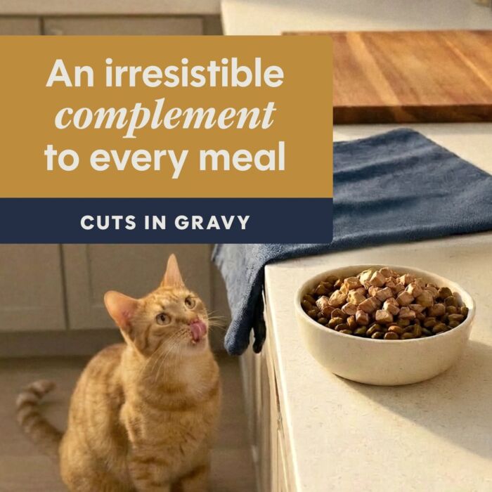 Nature's Variety Instinct Cat Pouch - Healthy Cravings Duck 3oz