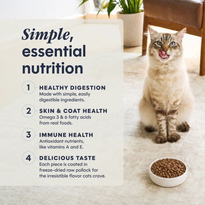 Nature's Variety Instinct Cat Food - LID Grain Free Salmon 4.5lb