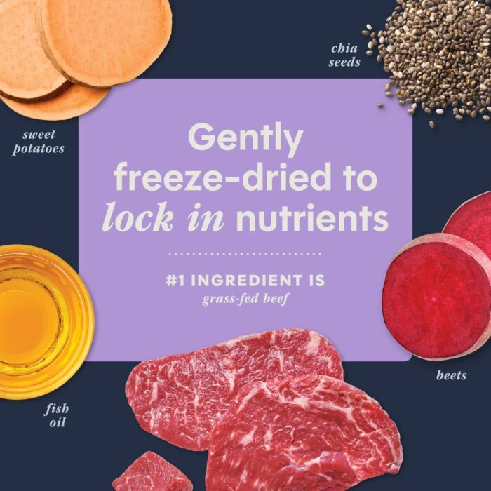 Nature's Variety Instinct 本能凍乾肉類貓輔糧 - 無穀物 - 鮮牛肉 5.5oz