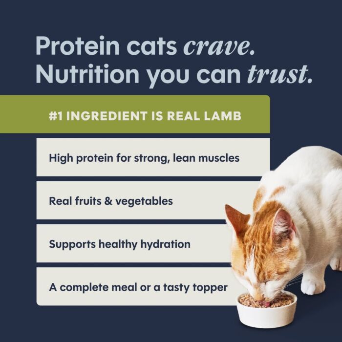 Nature's Variety Instinct Cat Can - Grain Free Lamb 5.5oz
