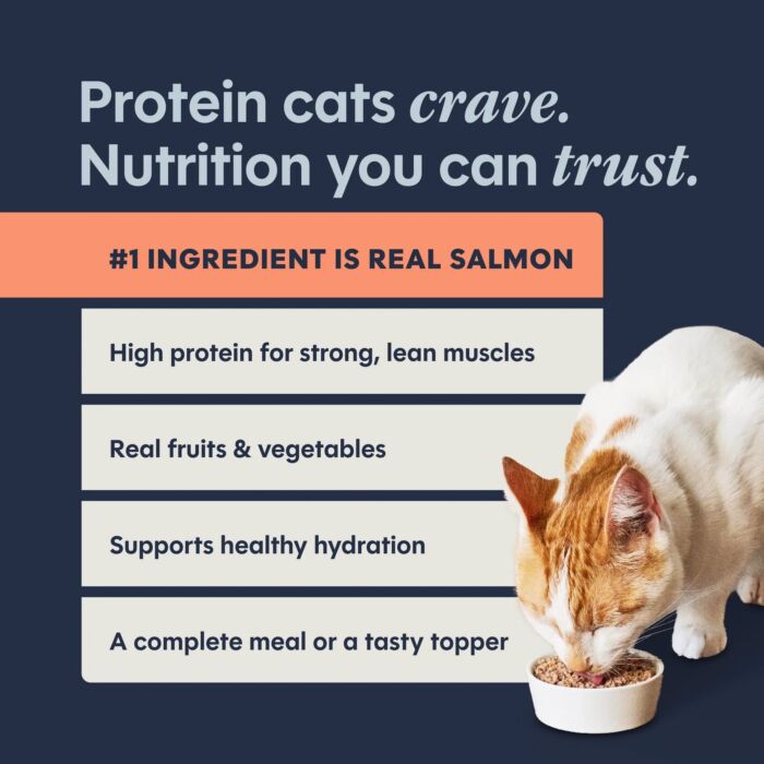 Nature's Variety Instinct Cat Can - Grain Free Salmon 5.5oz