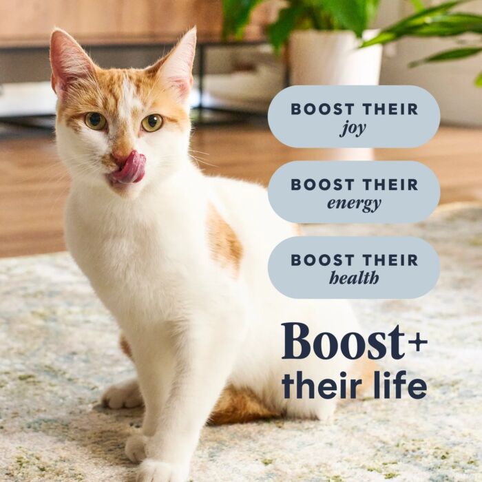 Nature's Variety Instinct Indoor Cat Food - Raw Boost Grain Free - Chicken 5lb