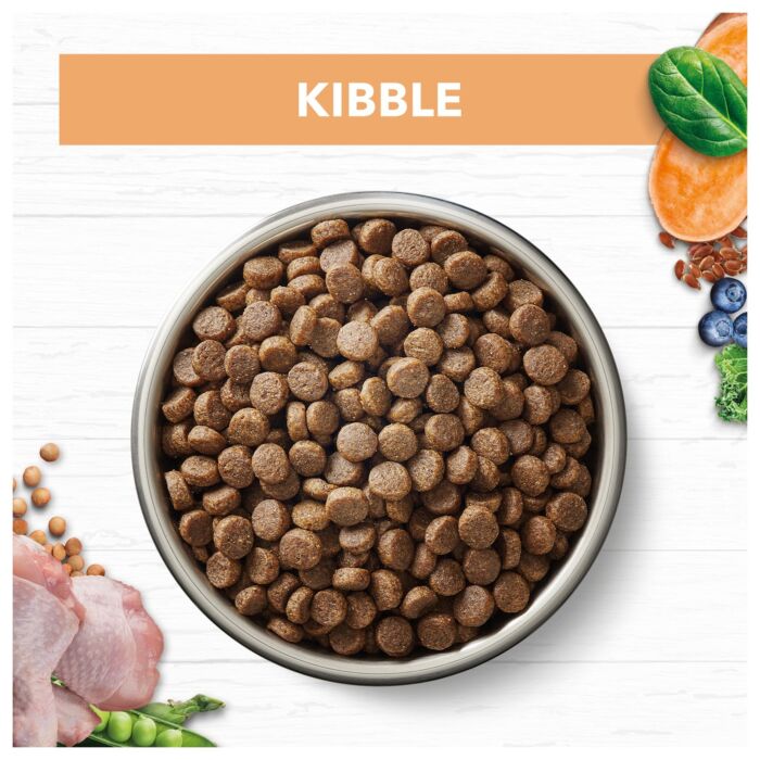 IVORY COAT Kitten Food - Grain Free - Chicken 2kg