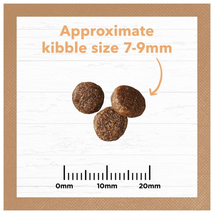IVORY COAT Kitten Food - Grain Free - Chicken 2kg