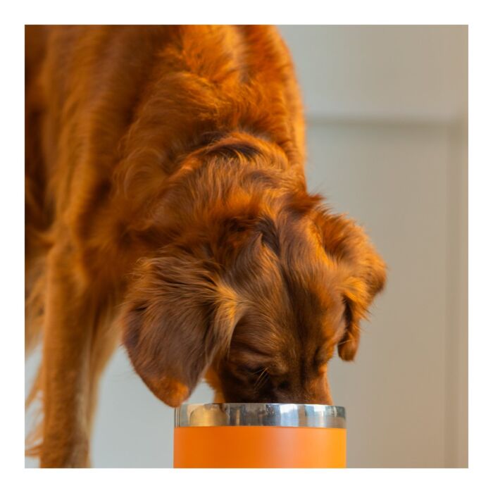 K9 Natural Dog Can - Lamb 370g