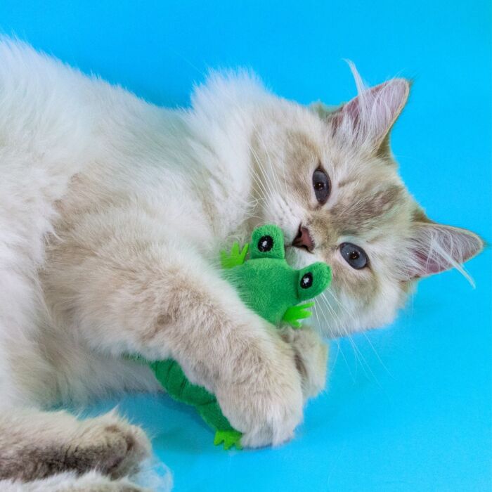 King Catnip Cat Toy - Frog