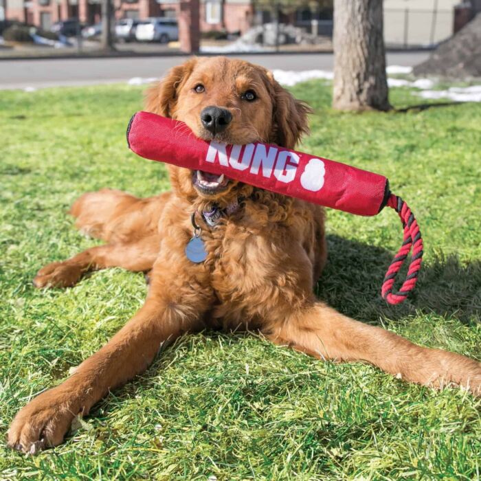 KONG Dog Toy - Holiday Signature Stick