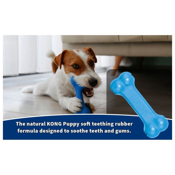 KONG Dog Toy - Goodie Bone With Rope for Puppies - Light Blue
