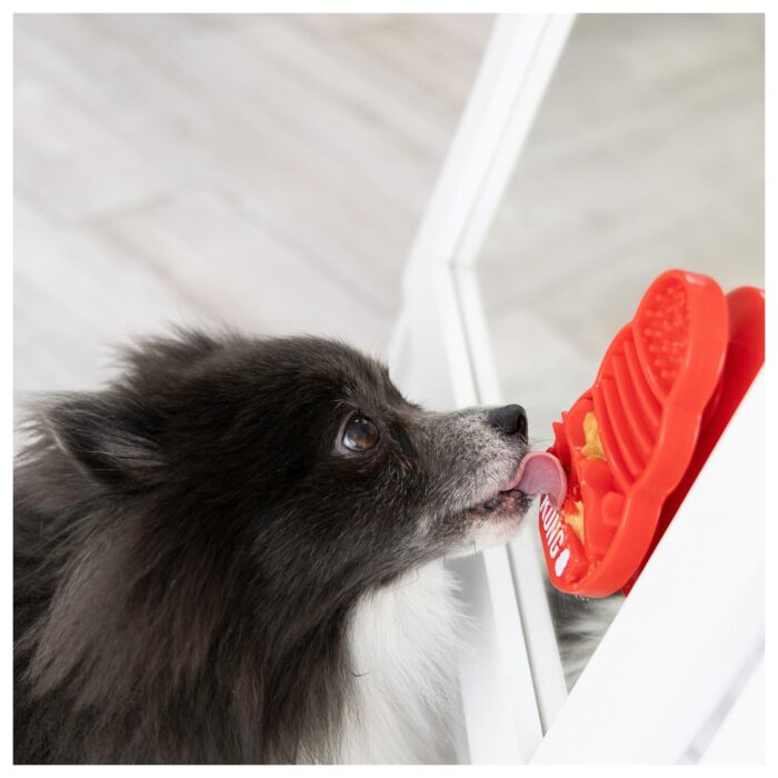 KONG Dog Toy - Licks Mat - Small