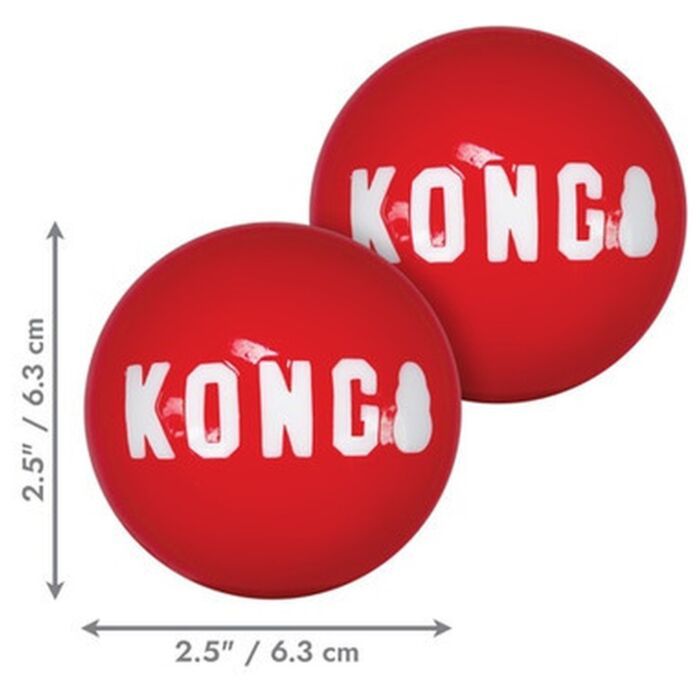 KONG Dog Toy - Signature Ball
