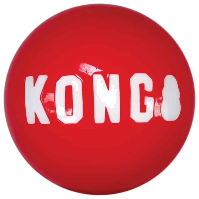 KONG Signature 發聲彈彈球狗玩具