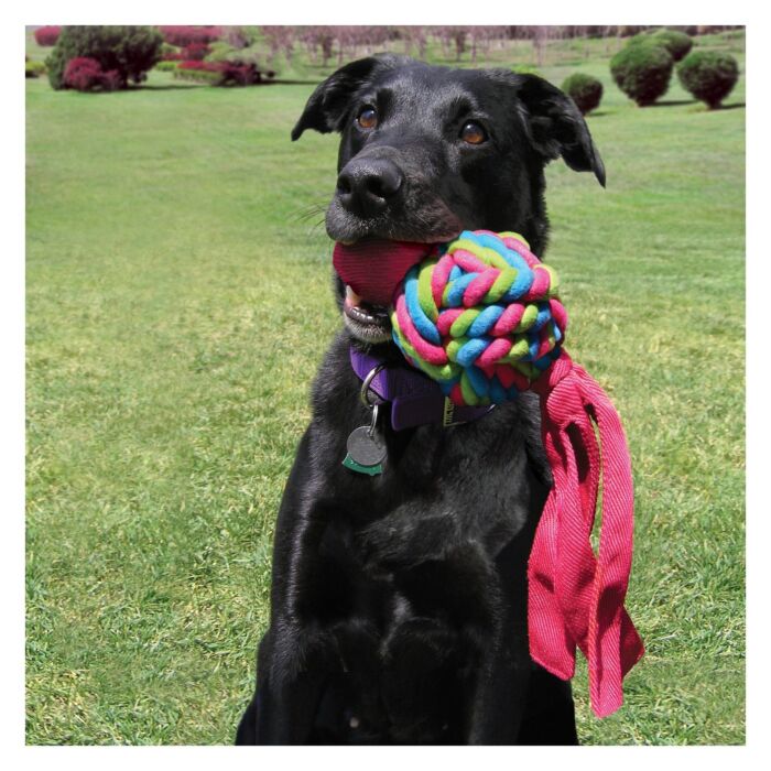 KONG Dog Toy - Wubba Weaves S - Assorted Color