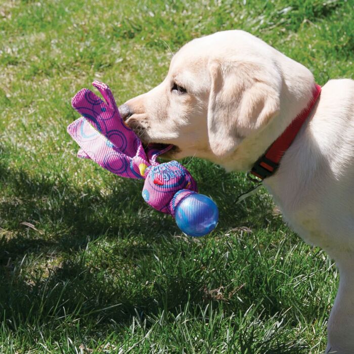 KONG Dog Toy - Wubba Cosmos S - Assorted Color