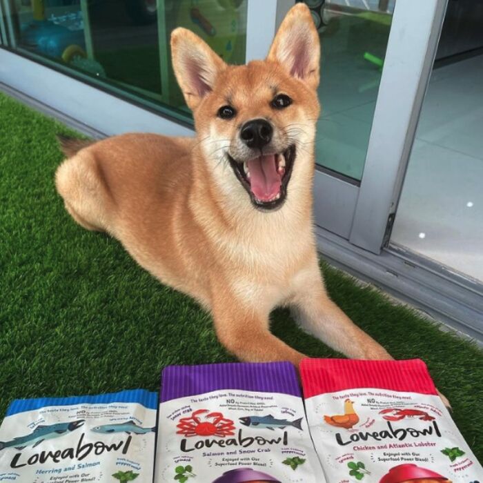 Loveabowl Dog Food - Grain Free Salmon & Snow Crab