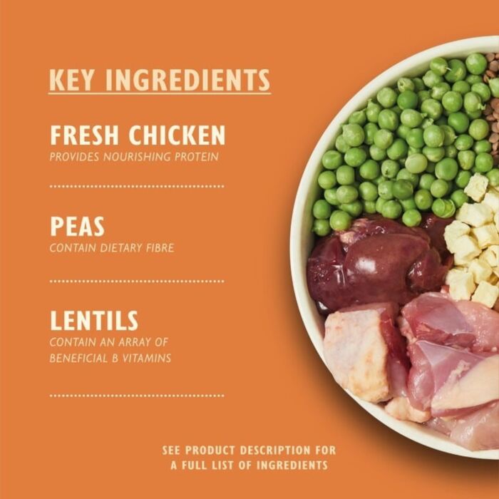Lilys Kitchen Dog Food - Countryside Casserole - Chicken & Duck