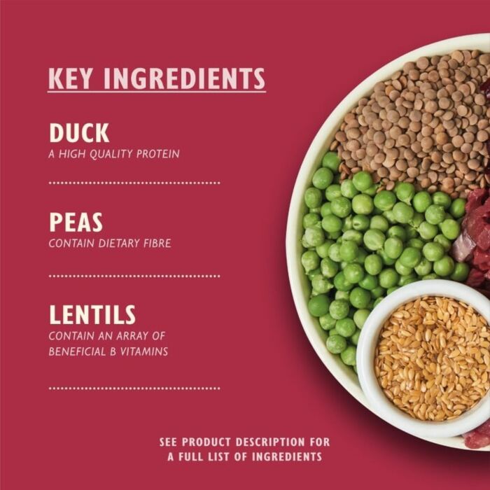 Lilys Kitchen Dog Food - Wild Woodland Walk - Duck Salmon & Venison