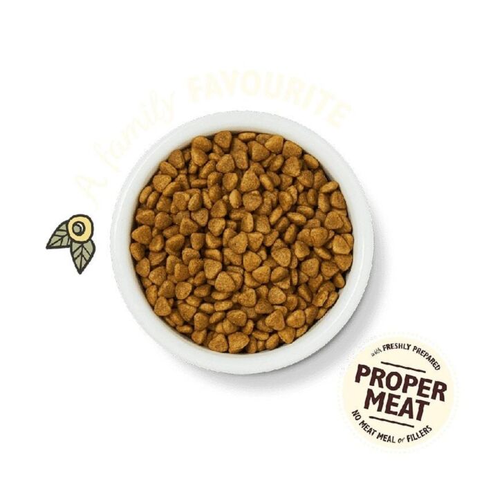 Lilys Kitchen Cat Food - Fishermans Feast - White Fish & Salmon 2kg