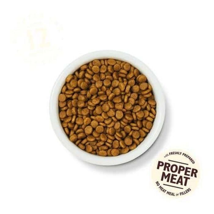 Lilys Kitchen Cat Food - Kitten - Chicken & White Fish 800g