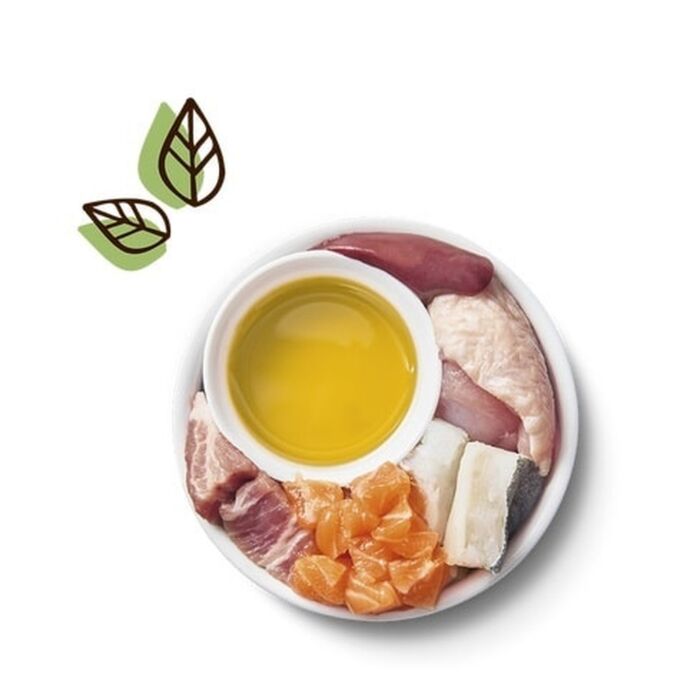 Lilys Kitchen 幼貓主食罐 - 雞鳕鱼鍋 85g