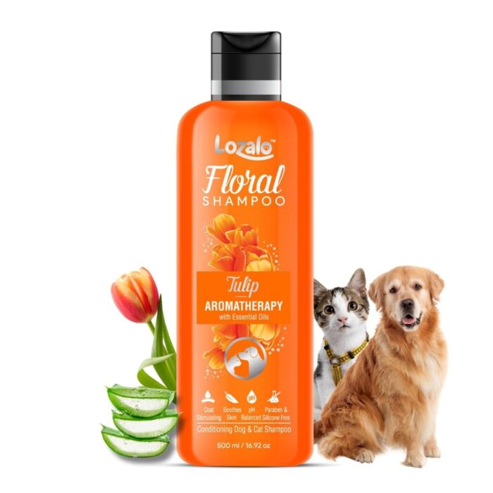 Lion Pet日本獅王 每日系列 - 貓用花香味2合1溫和洗毛乳 330ml