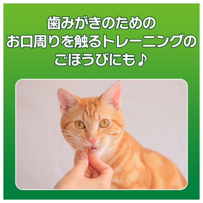 LION PET日本獅王貓小食 - PETKISS - 潔齒雞柳 20g