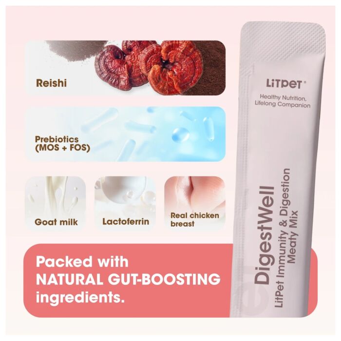 LiTPET 腸道免疫營養肉醬 (適合貓狗) 15g x 10件