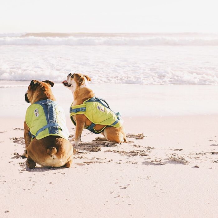 Outward Hound Standley Sport Performance Dog Life Jacket - X-Small