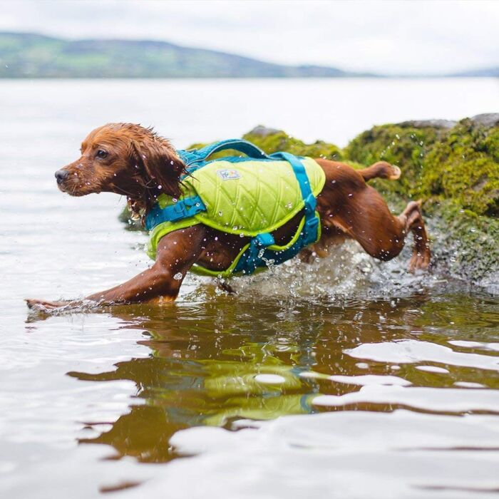 Outward Hound Standley Sport Performance Dog Life Jacket - X-Small