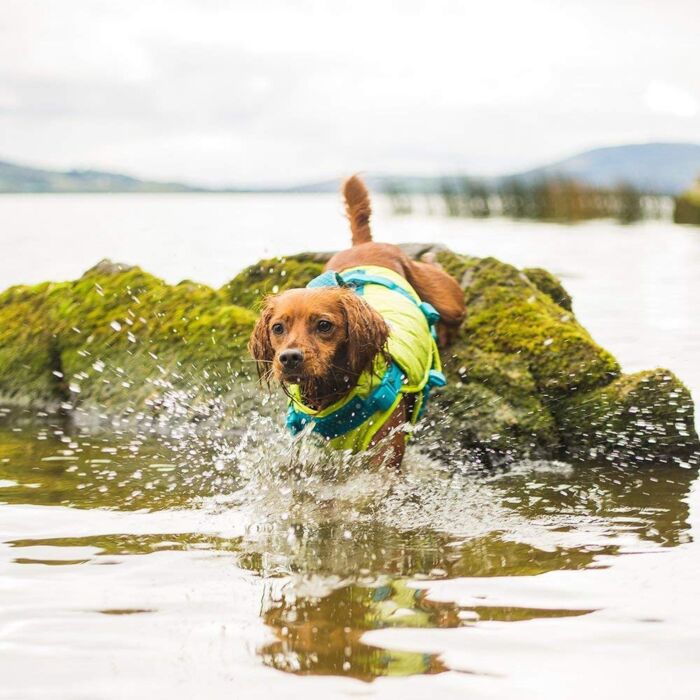 Outward Hound Standley Sport Performance Dog Life Jacket - X-Small