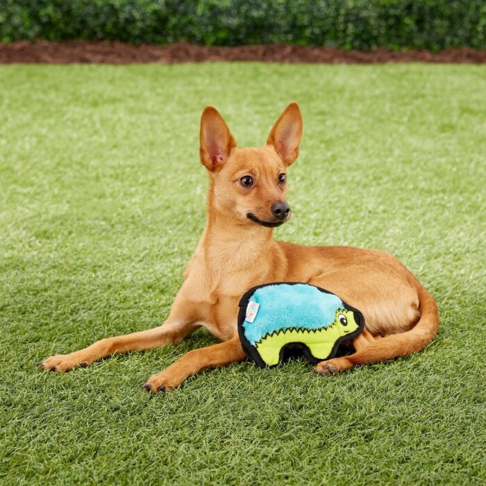 Outward Hound Dog Toy - Invincibles Mini Hedgehog