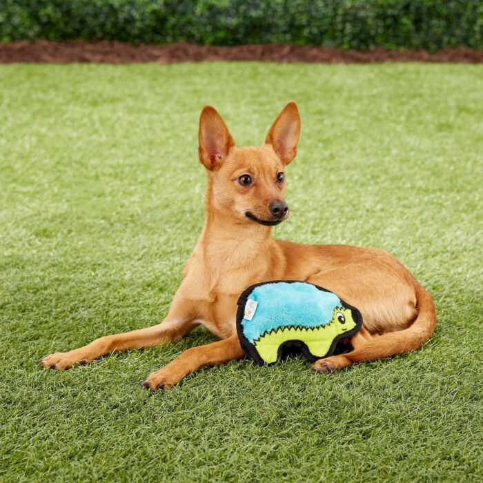 Outward Hound Dog Toy - Invincibles Mini Hedgehog