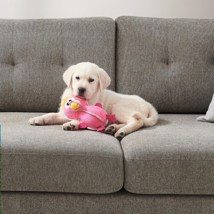 Outward Hound Dog Toy - Xtreme Seamz Flamingo
