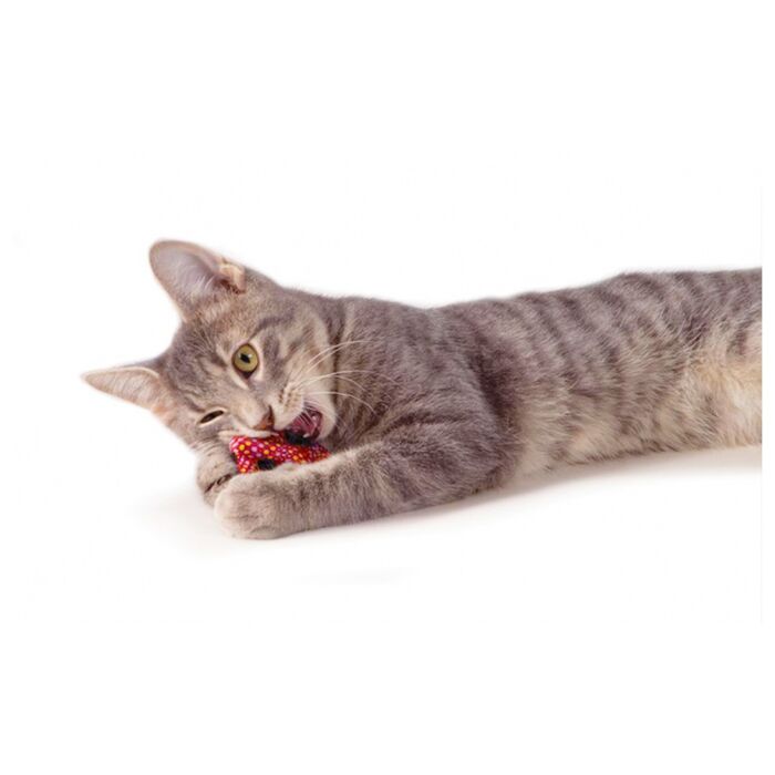 Petstages Cat Toy - Catnip Dental Health Roll
