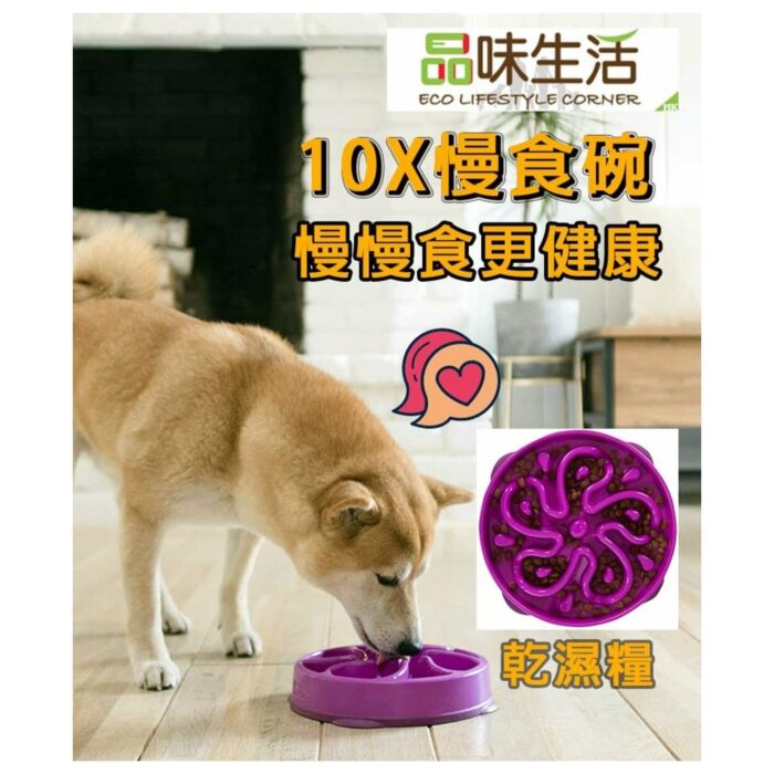 Outward Hound Fun Feeder Slo Bowl - Purple Flower Medium